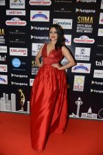 at SIIMA 2016 DAY 1 red carpet on 30th June 2016